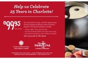 melting pot option 2 for website