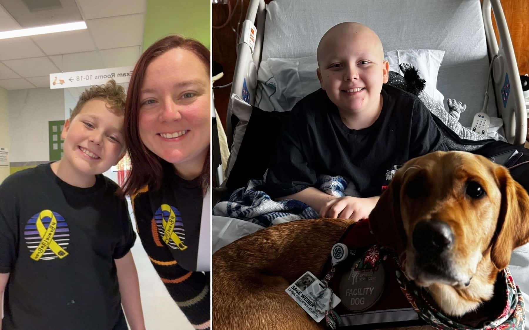Featured image for “Brave Like Bran: A Journey Through Childhood Cancer”